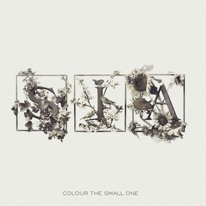 Colour The Small One (UK edition - standard)