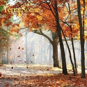 Terra Sonic - Single