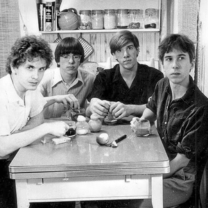 The Feelies photo provided by Last.fm