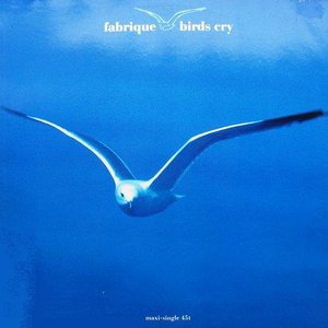 Birds Cry