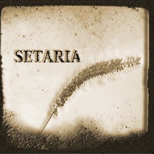 くらかたはむ için avatar