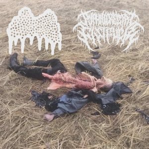 Split With Syphilic Rectal Fistfuck