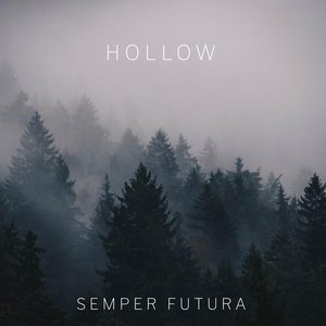 Hollow