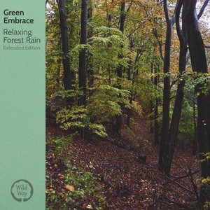 Relaxing Forest Rain