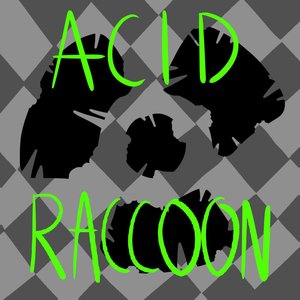 Acid Raccoon 的头像