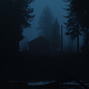 The Forest