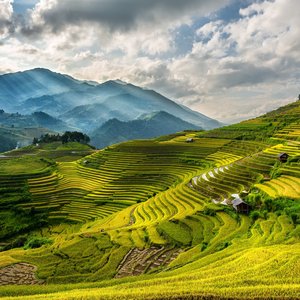 Sounds of Southeast Asia 的头像