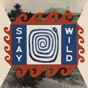 Stay Wild - Single