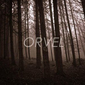 Orvel 的头像