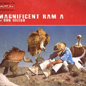 Magnificent Ram A