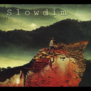 Slowdim