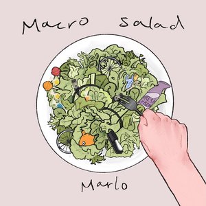 Macro Salad