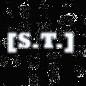 [S.T.] 的头像