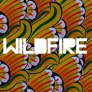 Wildfire (feat. Little Dragon) - Single