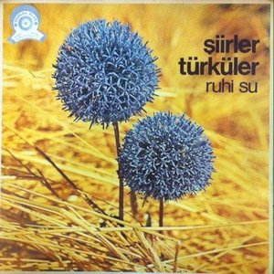 Şiirler - Türküler