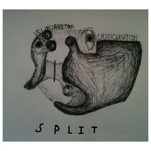 Velocirapetor/Crustaceanation Split