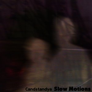 Candstandya 的头像