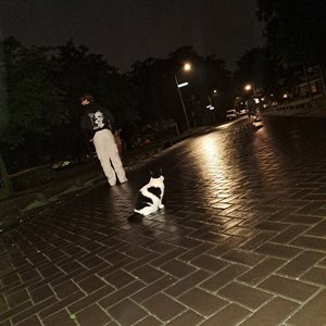 Jowe x lüpugo 的头像