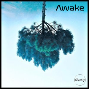 Awake