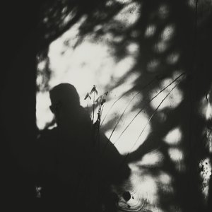 High Waters Unfold のアバター