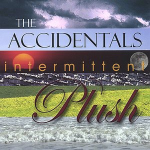 Intermittent Plush