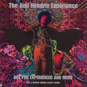 Are You Experienced and More