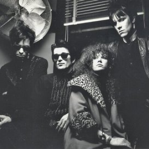 The Cramps photo provided by Last.fm