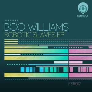 Robotic Slaves EP