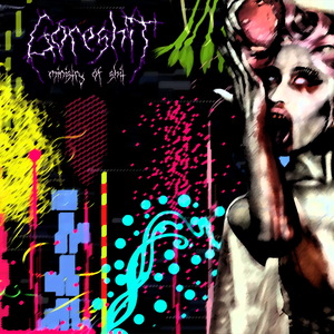 ministry of shit cover