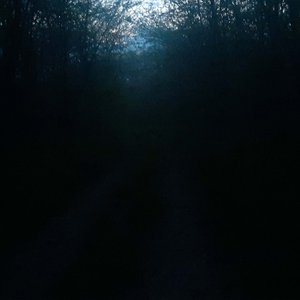 Ink House - Single