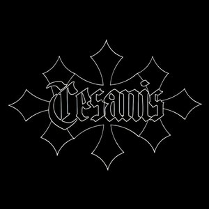 CRE$ANIS 的头像