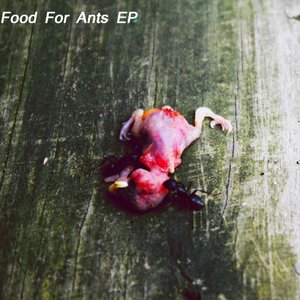 Food for Ants