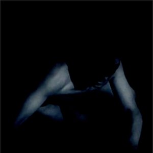 COMMON EIDER, KING EIDER & COBER ORD 的头像