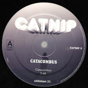 Catabombus