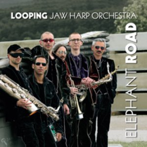Avatar for LOOPING jaw harp orchestra