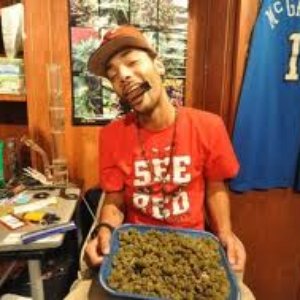 Yung Brody 的头像