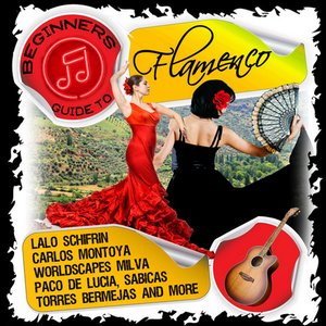 Beginners Guide to Flamenco