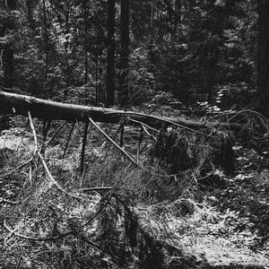 Image for 'Ruined Demo'