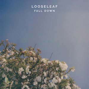 Fall Down - Single