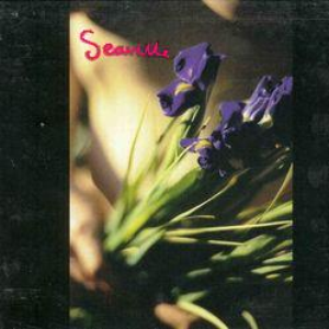 Seaville photo provided by Last.fm