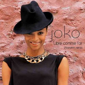 Libre comme l'air (Akerahim Remix) - Single