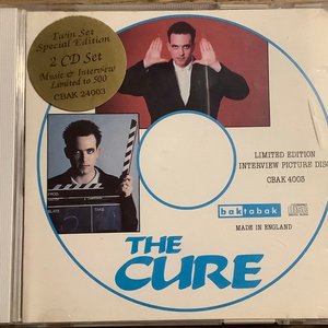 Limited Edition Interview Picture Disc / Pictures of you
