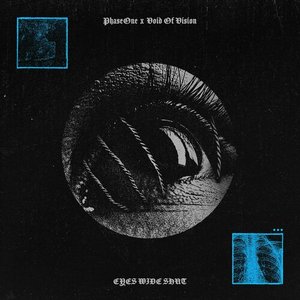 PhaseOne x Void Of Vision 的头像