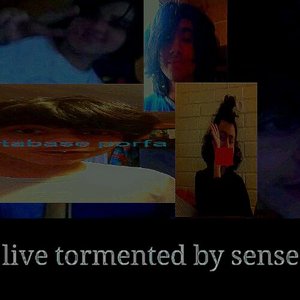 Live Tormented By Sense 的头像