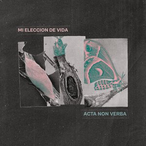 Acta Non Verba