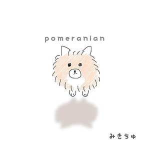ポメラニアン