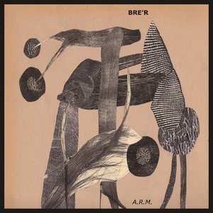 A.R.M.