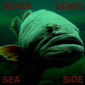 Supersonic Seaside 的头像