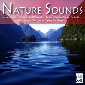 Nature Sounds for Sleep and Relaxation: Ambient Nature Sound Collection. Relax Sound Effect Series Gallery For Sleep