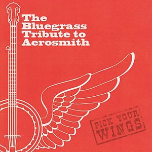 The Bluegrass Tribute to Aerosmith